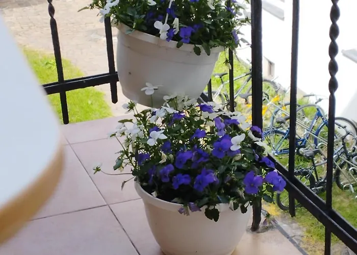 Angel House Apart Otel 3*