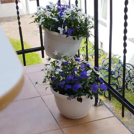 Angel House Ξενοδοχείο με διαμερίσματα 3*