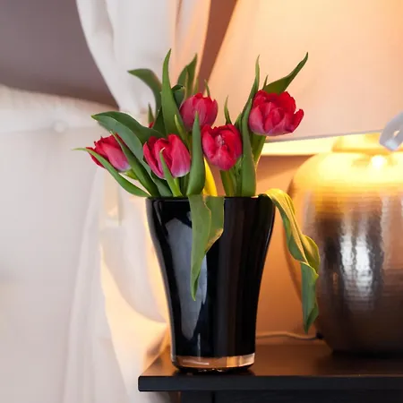 Ξενοδοχείο με διαμερίσματα Angel House 3*